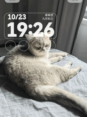 到底是誰(shuí)在用鴻蒙 體驗(yàn)完鴻蒙6我懂了